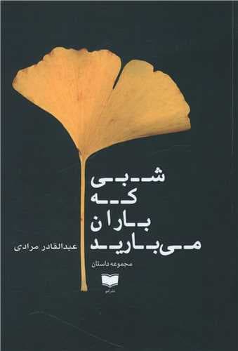 شبی که باران می بارید