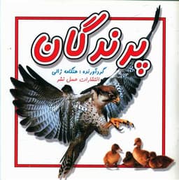 پرندگان (خشتی)