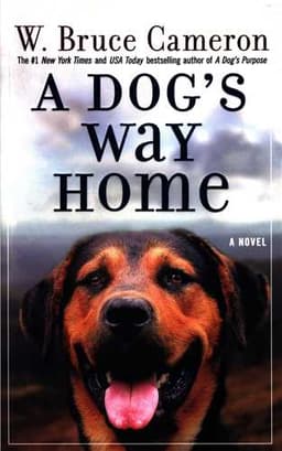 A Dogs Way Home مسیر بازگشت یک سگ به خانه (جنگل)