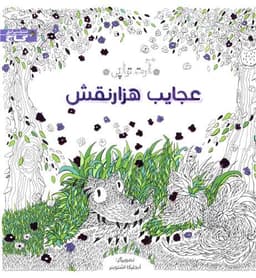 رنگ آمیزی (عجایب هزار نقش)(خشتی)