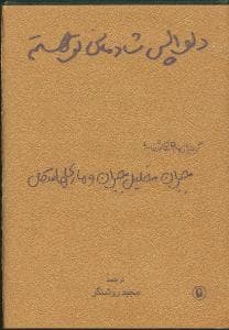 دلواپس شادمانی تو هستم (جیبی)